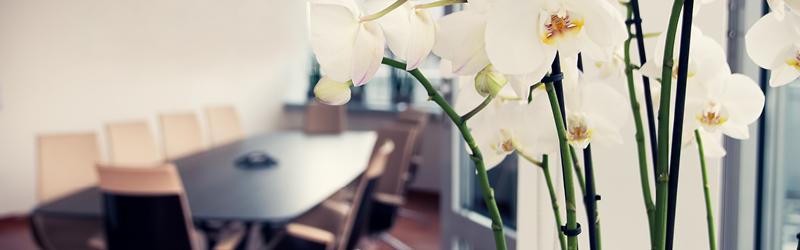 flowers in an office conference room